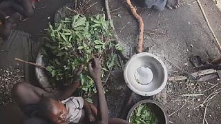 South Sudan violence preventing delivery of food aid, U.N WFP says