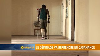 Le Sénégal veut reprendre les opérations de déminage en Casamance [The Morning Call]