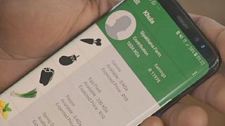 Award-winning app boosts farmers in South Africa