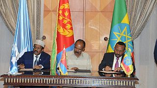 Ethiopia, Eritrea, Somalia pact boost for regional peace, devt: EU