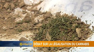 Débat sur la légalisation du cannabis en Afrique [The Morning Call]