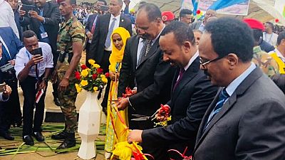 Eritrea, Ethiopia pledge to respect Somalia's sovereignty