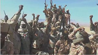 Rebels defeated in Northern Chad - Army
