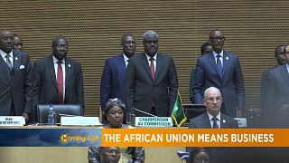 AU wants to fast-track Africa's development agenda [Business]