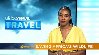 Saving Africa's wildlife [Travel]