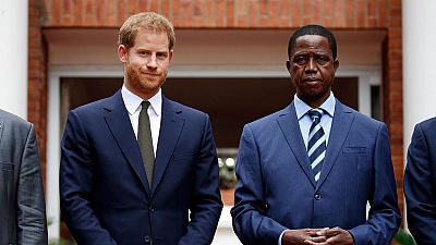 Prince Harry to facilitate elephant transfer from Botswana to Zambia