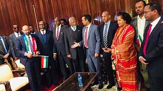 Leadership of ex-Ogaden rebels return to Ethiopia from Eritrea