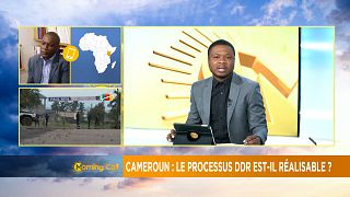 Cameroon's govt sets up DDR for ex-militants [The Morning Call]
