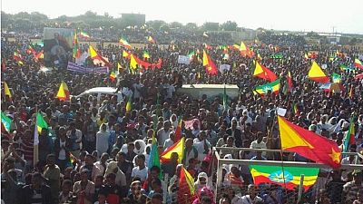 Ethiopia's Tigray region plans 'Respect the Constitution' rally