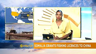 Somalia grants fishing licences to china [The Morning Call]