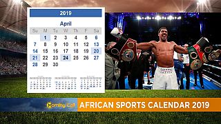 2019 sports calendar: Will Africa bring home a World Cup next year?