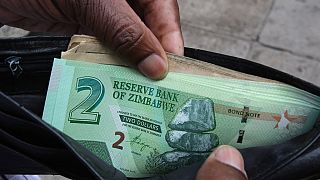 Zimbabwe govt warns businesses against 'dollarising' economy