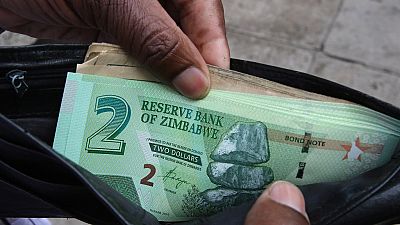 Zimbabwe govt warns businesses against 'dollarising' economy