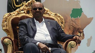 Ex-Sudan ambassador tells Bashir to quit, pave way for democracy