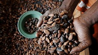 Ghana hopes to increase cocoa processing locally