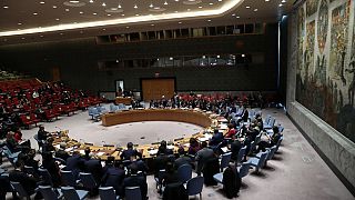 RDC : une réunion du Conseil de sécurité sur la présidentielle reportée