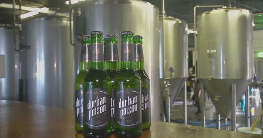 South African brewer eyes cannabis beer in the future Africanews