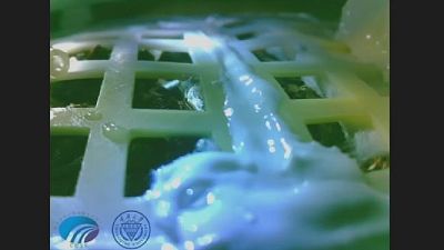China claims first-ever cotton grows on far side of the moon
