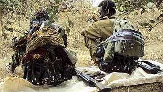 Ethiopia nabs over 800 returnee OLF fighters disturbing Oromia