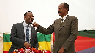 2018 Review: Eritrea's top news stories - Ethiopia, Djibouti, UNSC