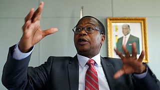 Zimbabwe : le ministre des Finances "déterminé" à poursuivre les réformes
