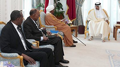 UAE, Turkey, Qatar, Russia pledge support for Sudan's embattled govt