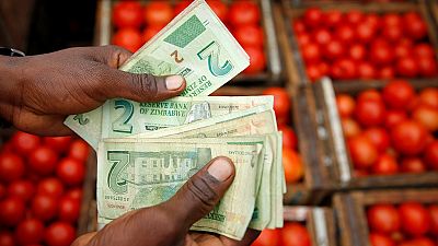 Explainer: The genesis of Zimbabwe's economic crisis