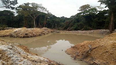 Congo-Brazzaville : d'importants dégâts environnementaux causés par des Chinois au nord