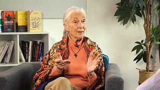 Jane Goodall reinforces her wildlife conservation initiative in the UAE