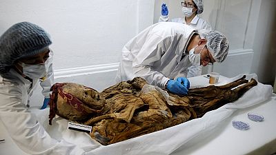 Ecuadorean mummy could shed light on history of diseases