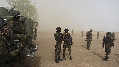 France continues support to Cameroon, US insists on human rights