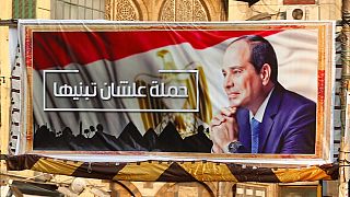 Egyptians petition court to scrap presidential term limits