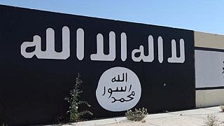 Islamic State fires ISWAP leader Al Barnawi – Nigerian journalist