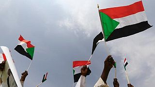 Sudan activists announce anti-govt protests in diaspora