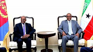 Eritrean delegation in Somaliland: Regional cooperation tops agenda
