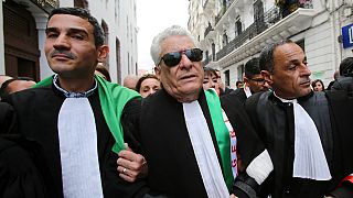Hundreds of Algerian lawyers protest against Bouteflika