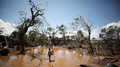 Cyclone Idai : une femme donne naissance perchée sur un arbre au Zimbabwe