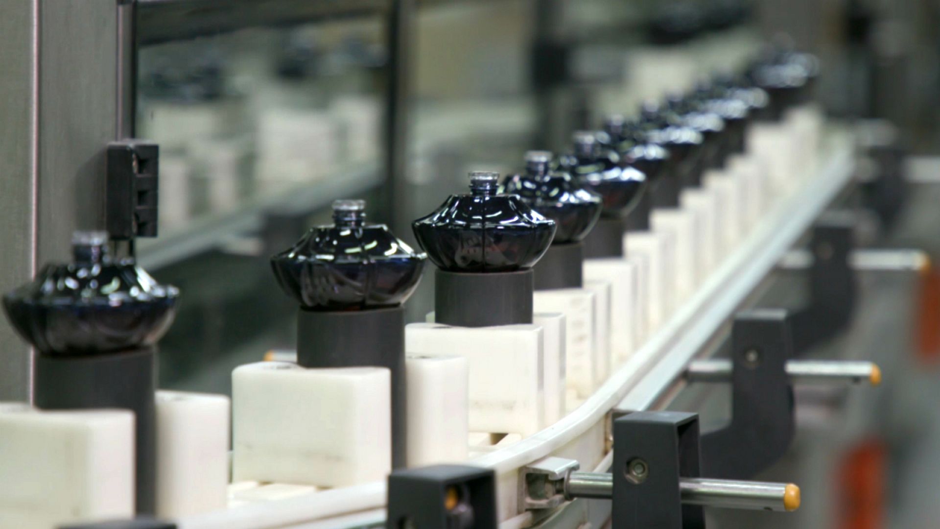 The business of Oud, one of the world’s most expensive scents Euronews