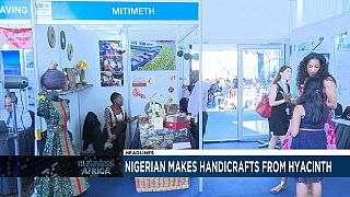 Nigerian makes handicrafts from hyacinth [Business Africa]