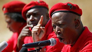 Zimbabwe land compensation: Malema slams 'sellout' Mnangagwa