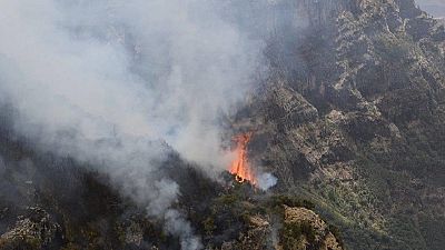 Ethiopia's 'Roof of Africa' forest burns: Israel joins fire combat