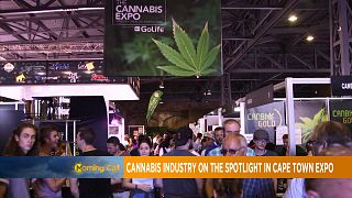 Cannabis industry on the spotlight in Cape Town Expo [The Morning Call]