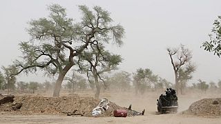 Cameroun : attaque d'envergure de Boko Haram dans l'Extrême-Nord