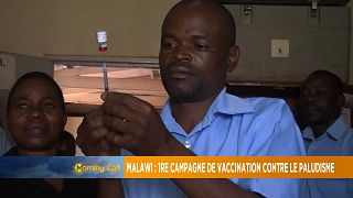 Malawi launches experimental malaria vaccine [The Morning Call]