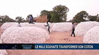 Le mali souhaite transformer son coton [Business Africa]