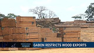 Le Gabon restreint les exportations de bois [Business Africa]