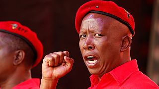 AU, 'confused brothers who do each other favours' – South Africa's Malema