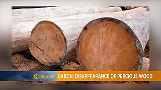 Govt seized timber wood missing in Gabon [Morning Call]