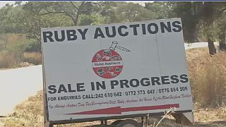 Ex-Zimbabwe president Mugabe's farm equipments auctioned