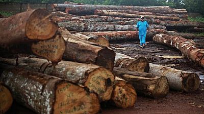 Gabon president vows to nab thieves of $250m protected hardwood